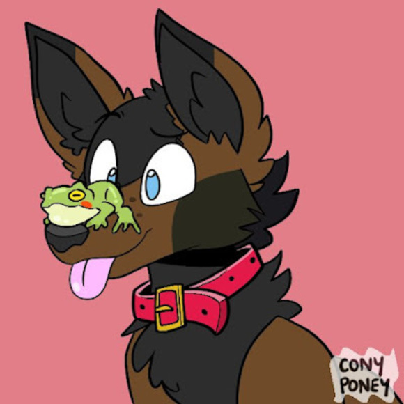 Meet your Posher, Fern - Picture 1 of 1